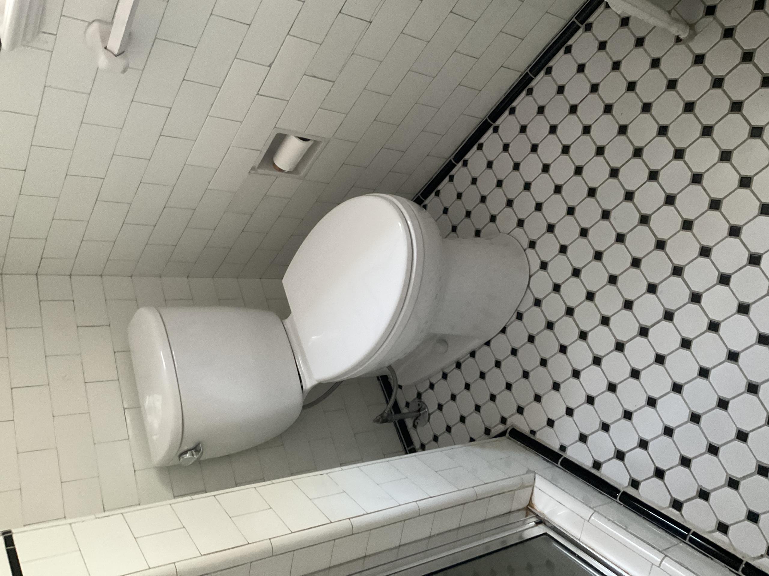 Old Toronto, ON - Replaced toilets 