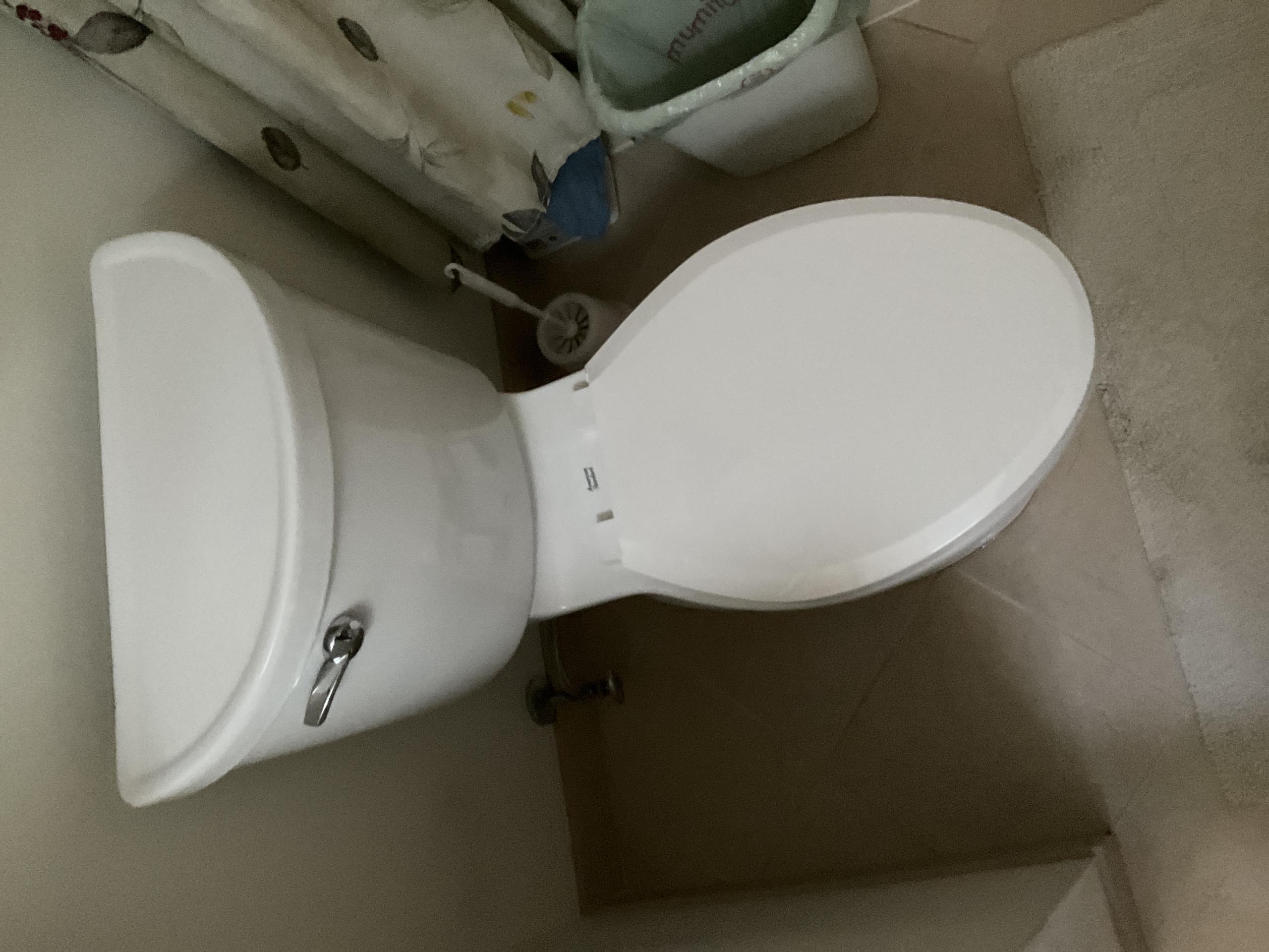 East York, ON - Replaced toilet and repaired kitchen faucet