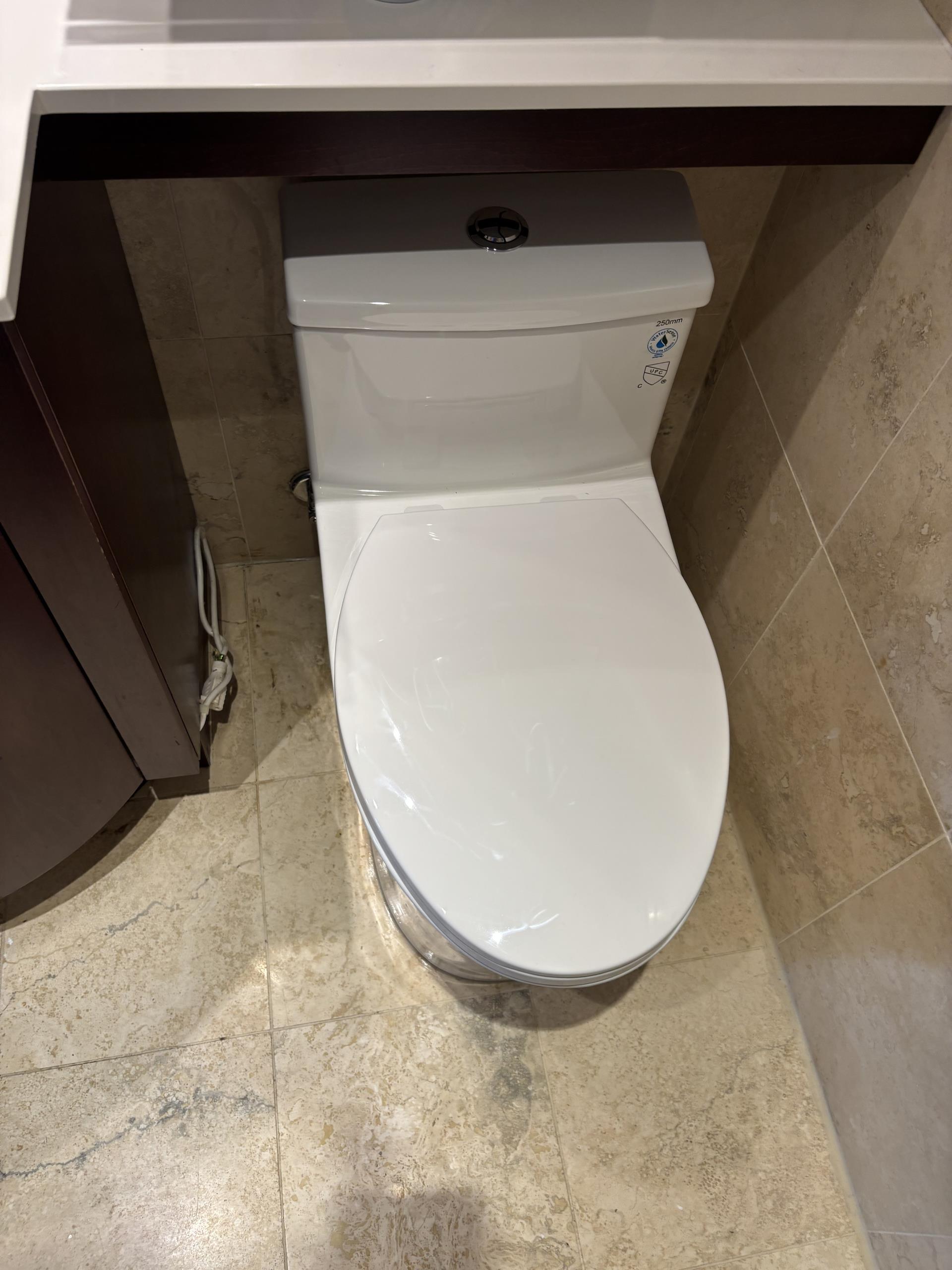 Old Toronto, ON - install customer supplied one-piece toilet