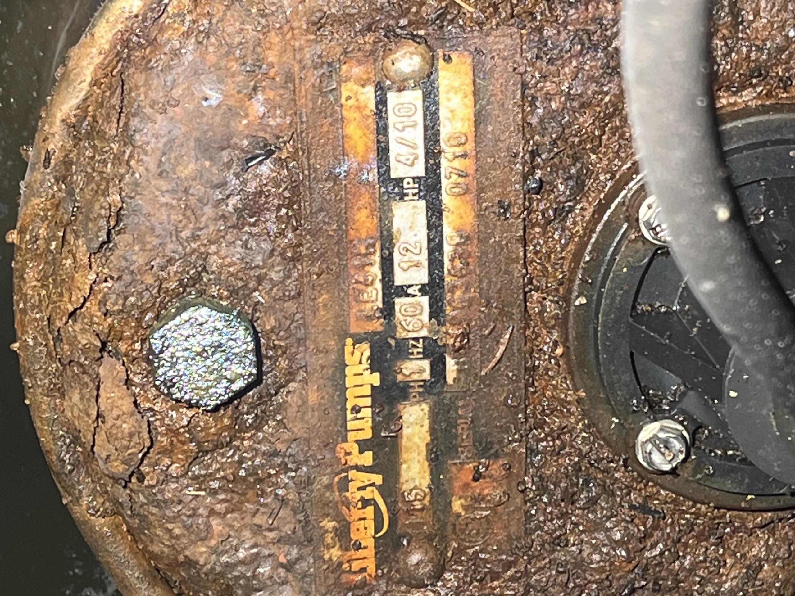 Etobicoke, ON - Testing Sewage ejector and sump pumps. 