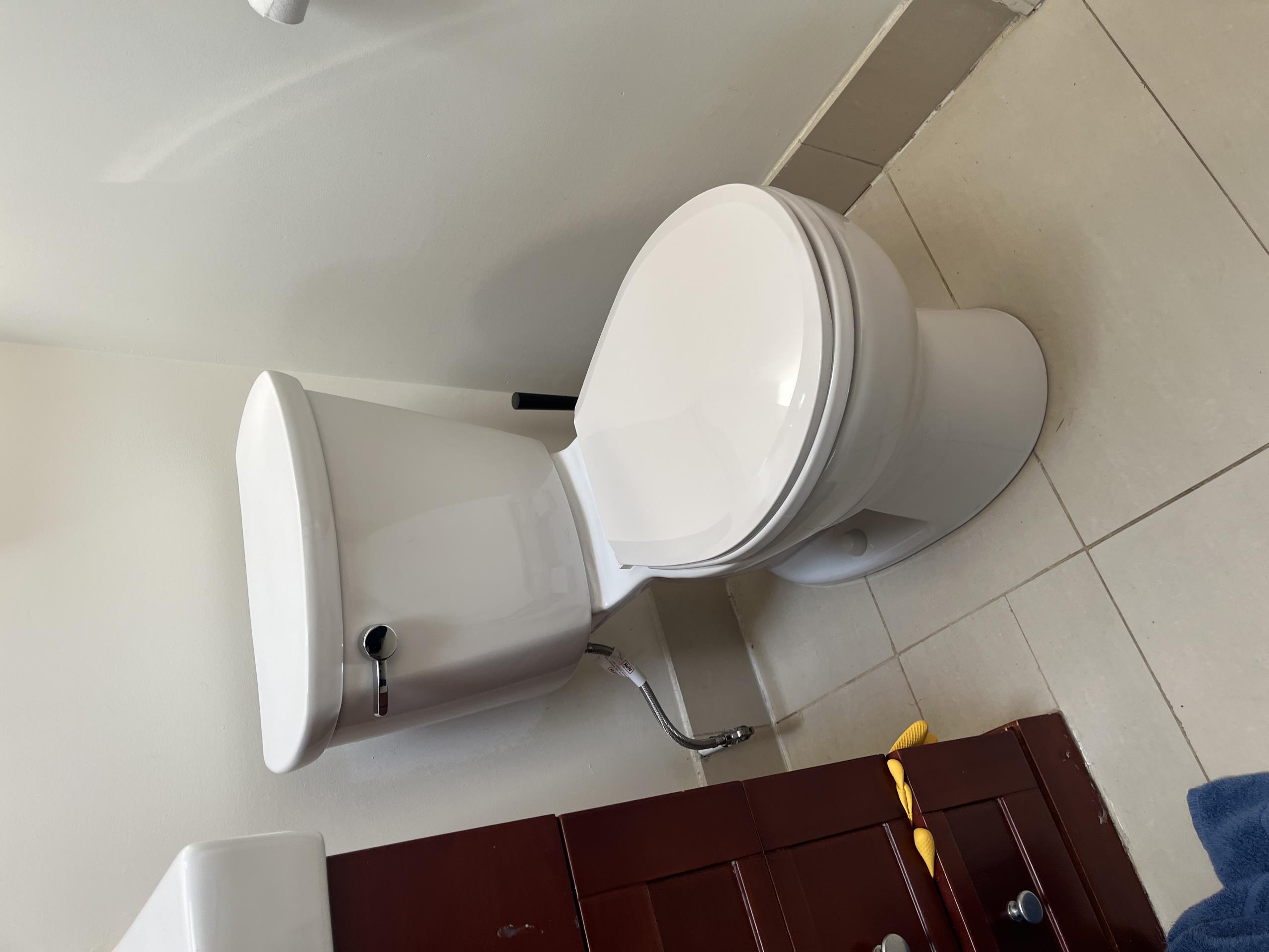 Old Toronto, ON - Supply and install 2 Cadet Pro toilets