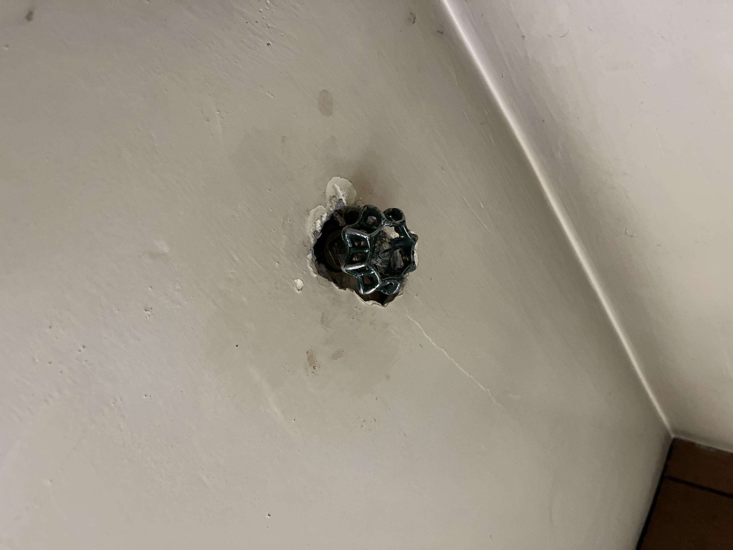 Etobicoke, ON - Replaced outdoor faucet shut off valve. Repaired toilet.