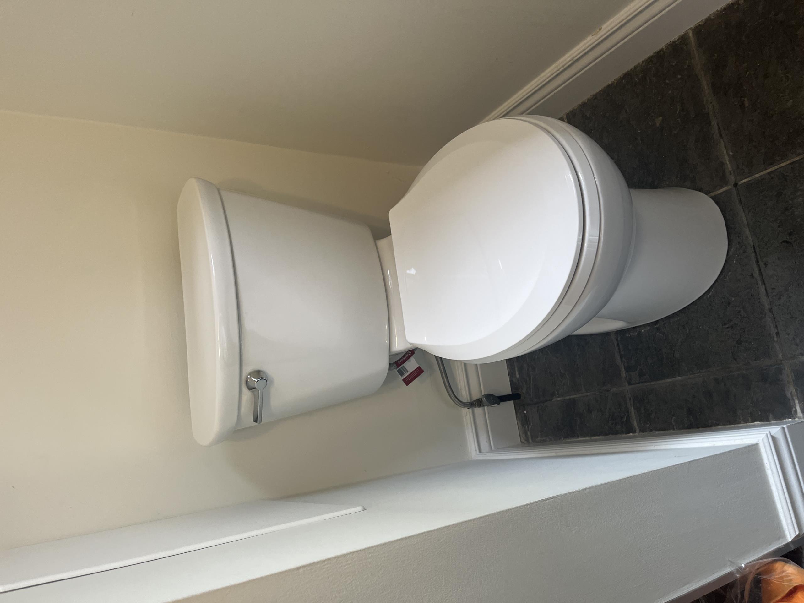 Old Toronto, ON - Installed owner’s toilet