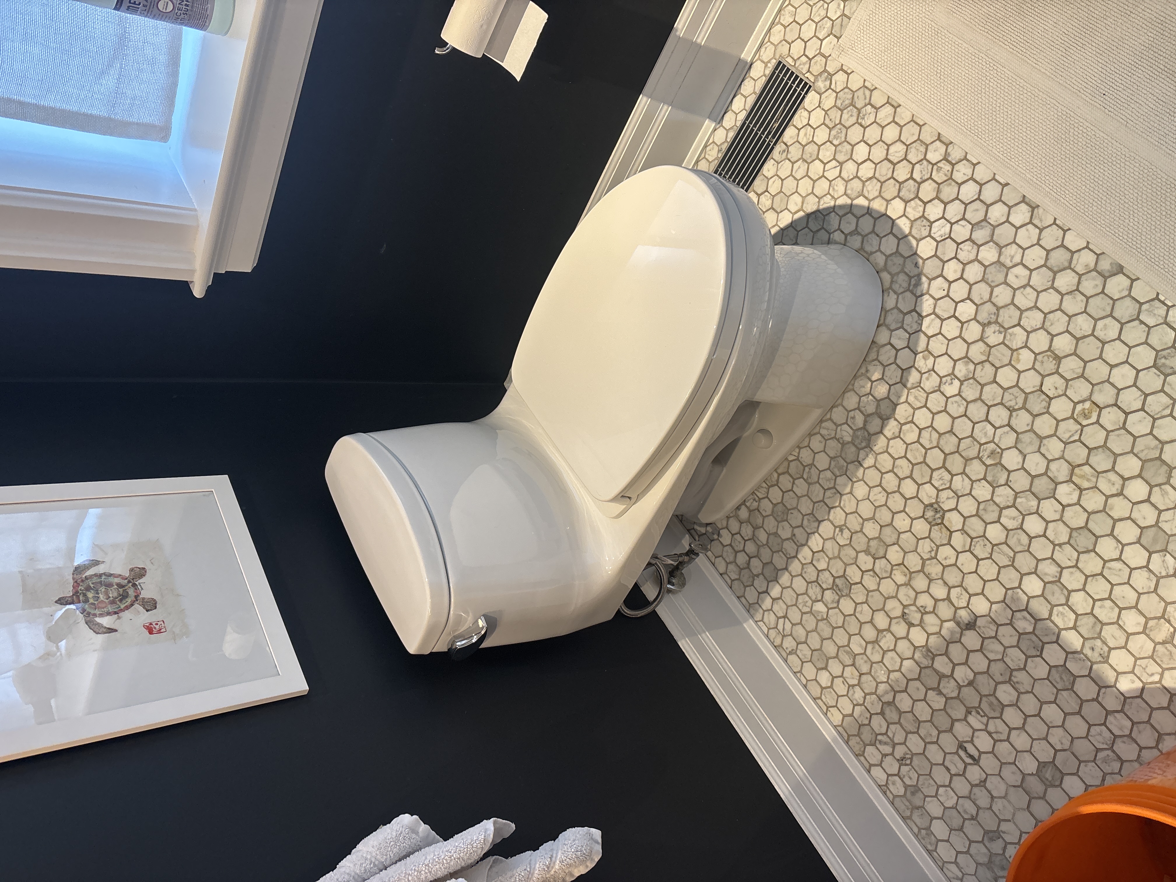 Old Toronto, ON - install customer supplied toilet