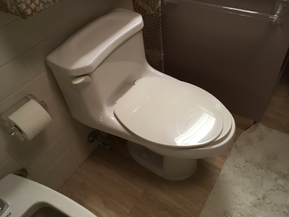 Toilet issues Toilet issues