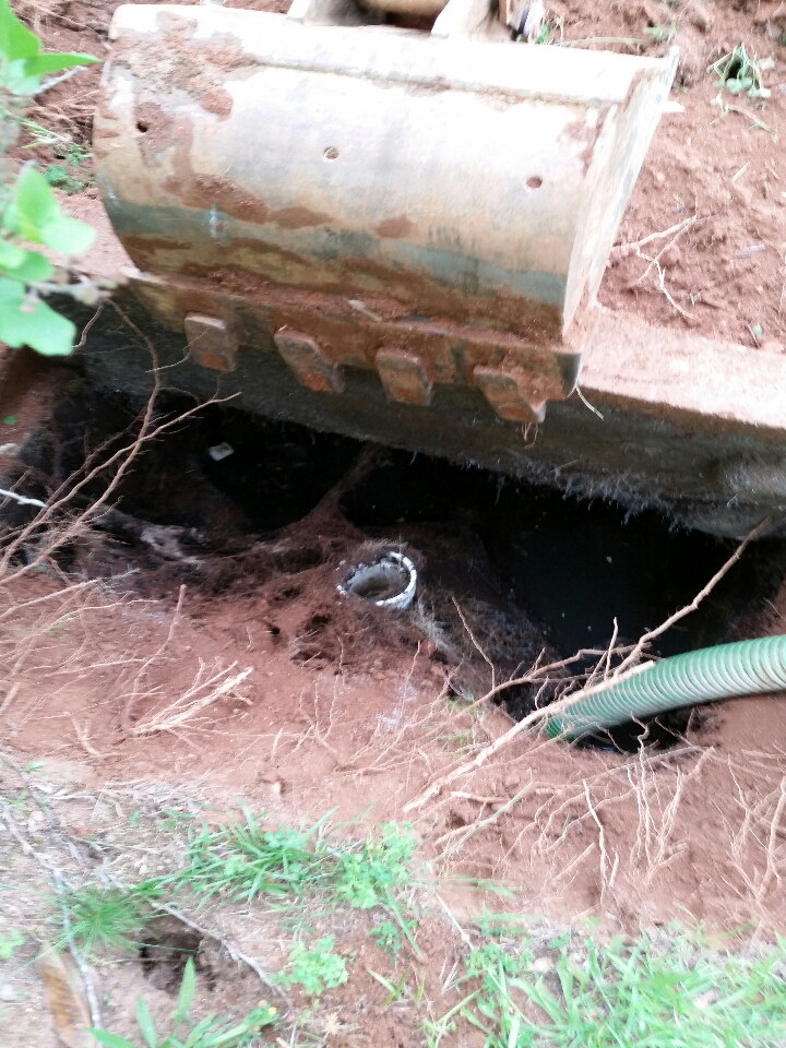 Pumped out a 1000gal septic tank and extracted roots