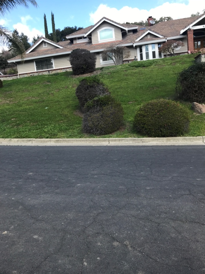 Treated all around the house, deck/patio and along walk Ways. Treated gopher activity in front and side yard.