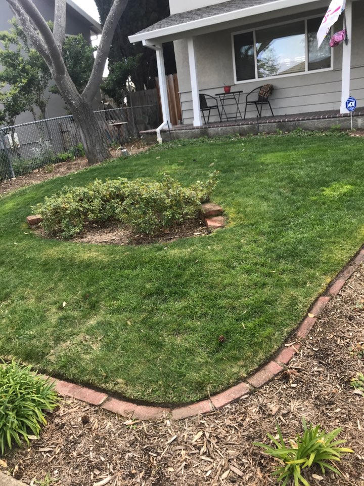 Used backpack to a localized ant treatment per customers wishes all around the house, patio, lawn border and along the retaining walls