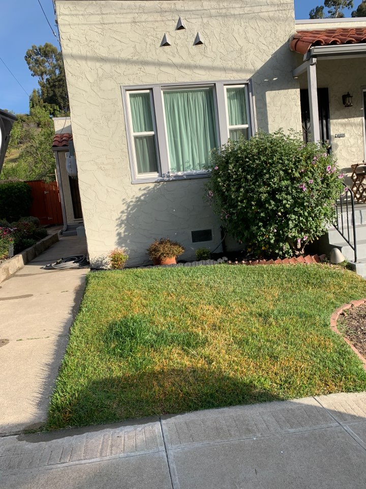 Treated all around the house, deck and under the deck, detached garage and wasp nest in water faucet on garage side of house