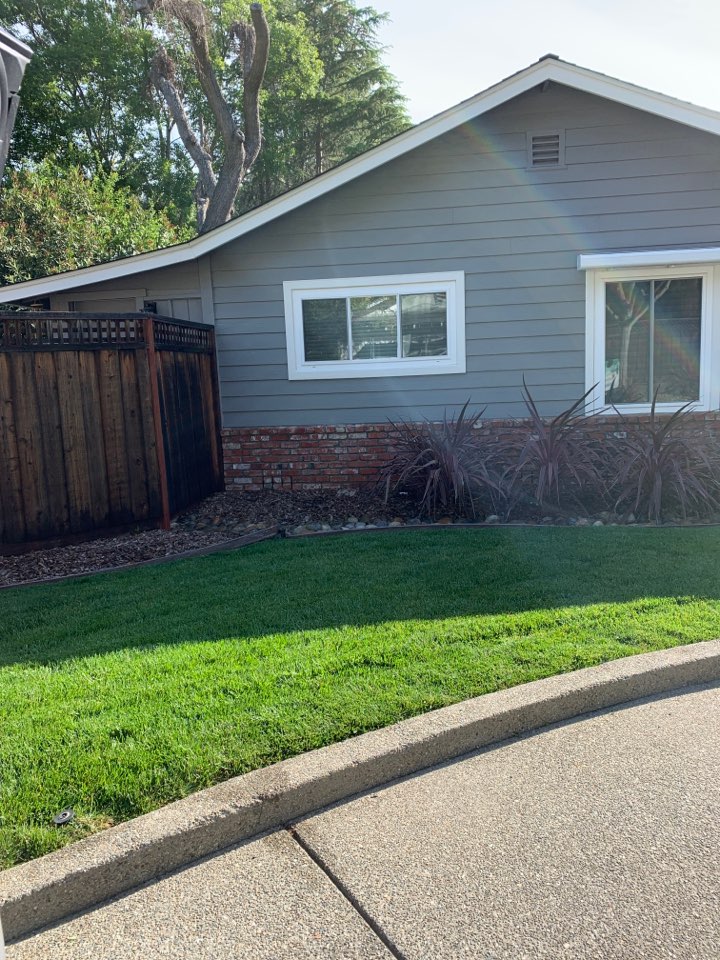 Did a good spring time treatment all around the house, patio and a long fence line also spot treated eaves to help with wasp control prevention