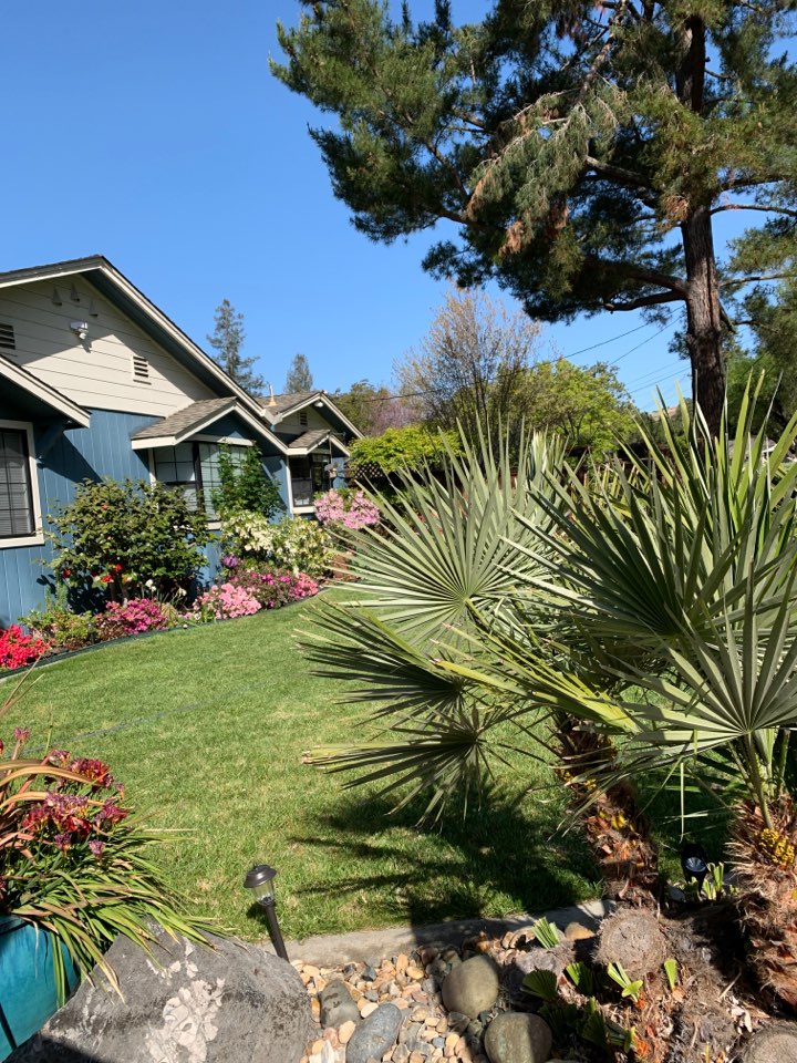 Did our spring preventative treatment all around the house, deck and along all walkways/pathways especially in the backyard