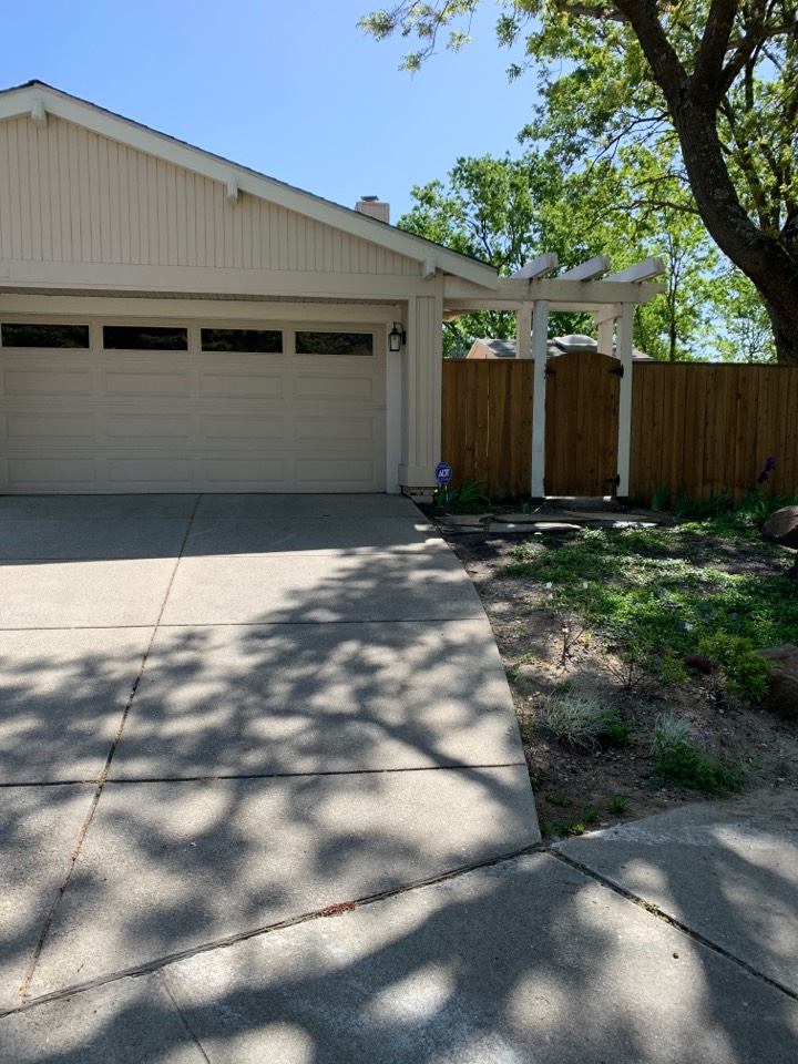 Put up fresh rodent and squirrel bait. Did a good spring treatment all around the house, patio/deck and pool and pool deck