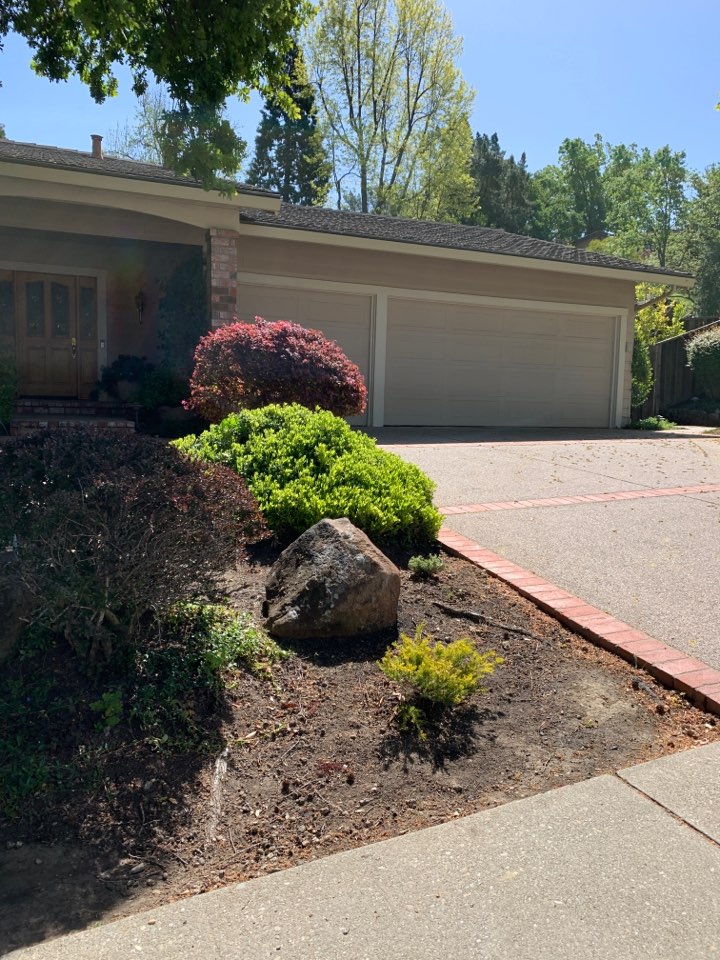 Did our regular pest preventative treatment all around the house and a long retaining walls. Put out fresh rodent bait and did a courtesy vole treatment in front lawn