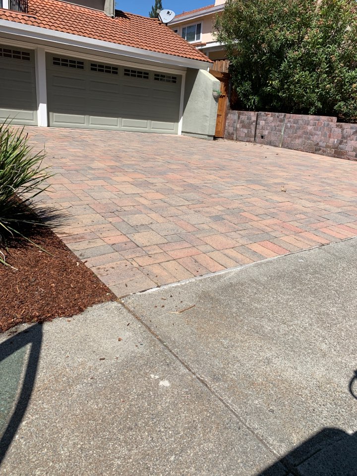 Did a good spring preventative treatment all around the house, patio, along walkways and wood/stone retaining walls