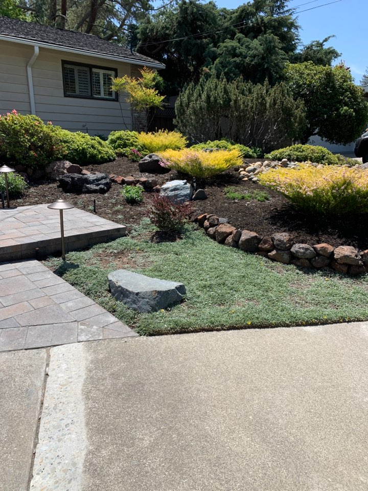 Use my backpack to do a good spring preventative treatment all around the house, patio, pool and a long walkway/retaining walls.