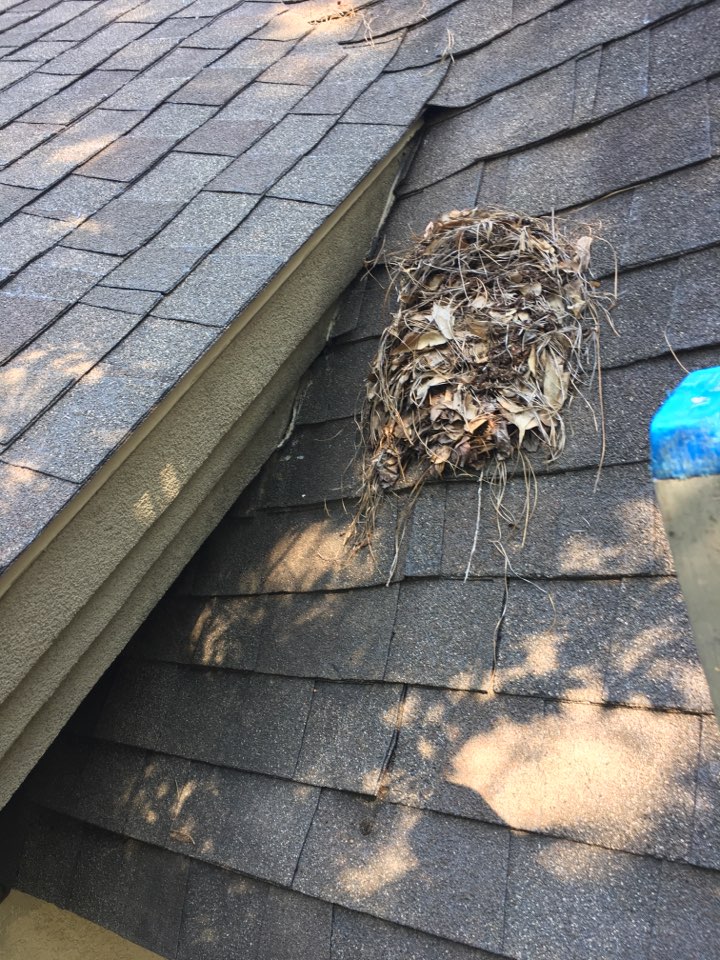 Ocean Springs, MS - Estimate to flash leaking fascia terminations Ocean Springs, MS - Estimate to flash leaking fascia terminations