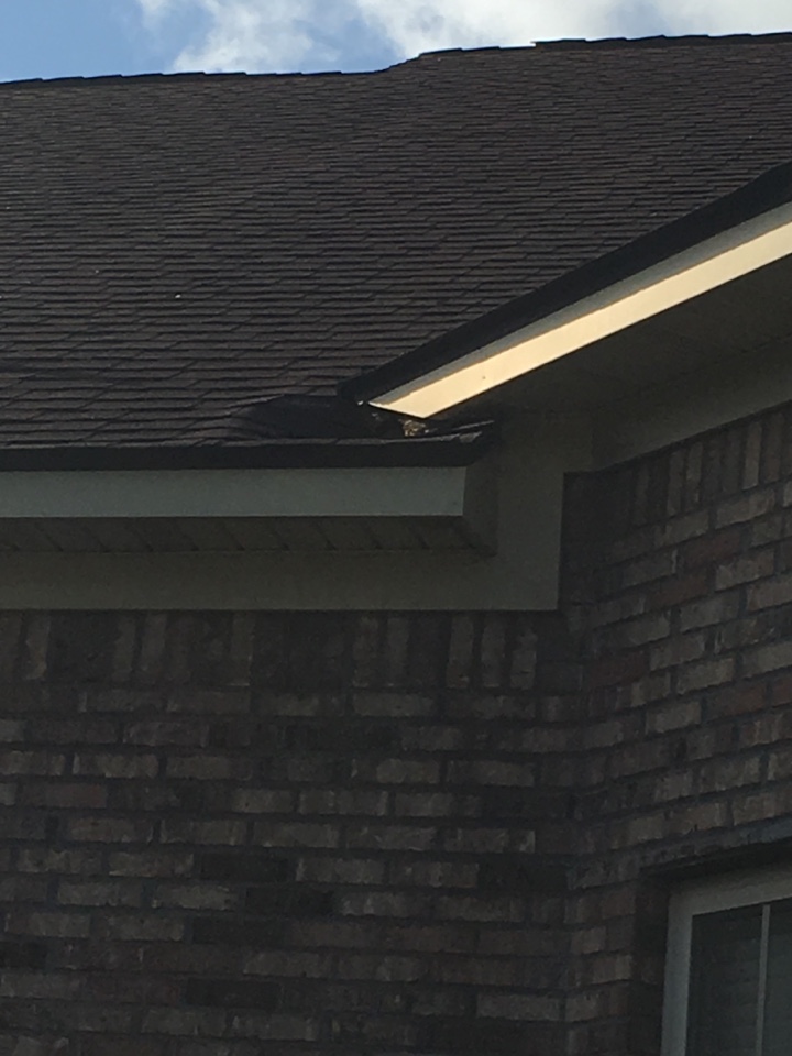 Pascagoula, MS - Estimate to install fascia termination flashing Pascagoula, MS - Estimate to install fascia termination flashing