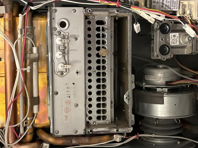 I removed the burner and igniter to clean them.