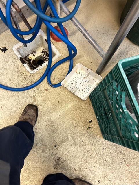 Arrived to find floor drains in deli backed up 
Ran kitchen cable down floor drains in deli but was unable to clear line
Pulled cap off clean out in warehouse left of deli 
Ran 3" double blade cable down clean out
Ran cable 12 ft to get line cleared-Worked spot multiple times 
Ran cable out 30 ft before pulling back grease on cable and blade 
Ran water to test; the floor drains are functioning properly at this time.