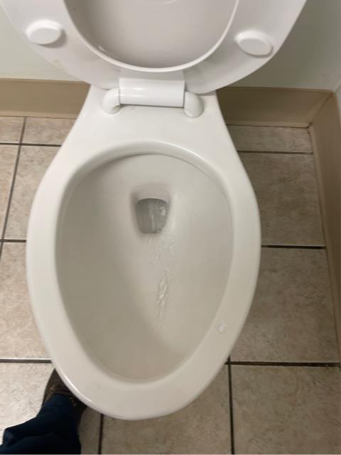 I was called to unclog a sewer main line. I ran a snake/blade down the line to find the blockage, which was a paper towel. I pulled out the paper towel and flushed all the toilets, urinals, and basins to test the line. All is flowing at this time. 