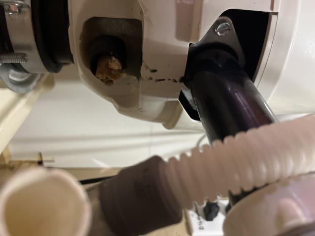 I replaced the dishwasher drain hose to the disposal. No leaks.