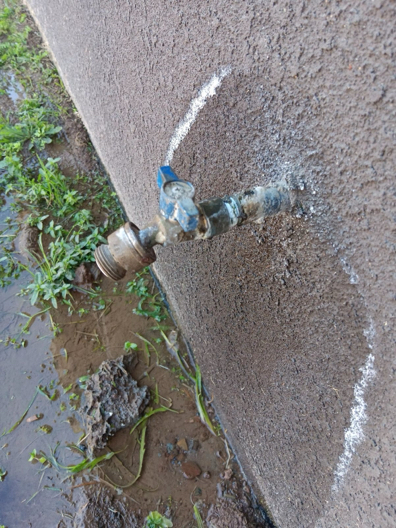 I replaced a cracked 1/2 female hose bib in the backyard and turned the water back on to check for leaks.