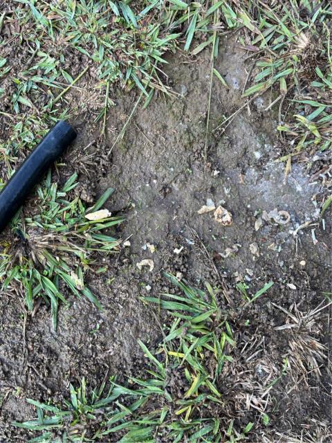 Arrived to find the air gap on the kitchen sink backing up onto the top of the kitchen sink and leaking into the cabinet below. 
  Removed the hose from the air gap to the garbage disposal and removed a lot of grease and food debris from the hose. 
  Removed the old air gap and installed a new one into its place. 
  Filled and drained the dishwasher again. Found the air gap functioning as it should be and the dishwasher draining without issue at this time. 