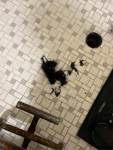 Arrived to find all 4 showers draining slowly. 
  Ran a junior snake into all 4 shower drains they wanted snaked. 
  Pulled back hair from the first one.  The rest didn’t have much hair in the drains at this time. 
  Ran water into all 4 shower drains to test. They’re all draining without issue at this time.