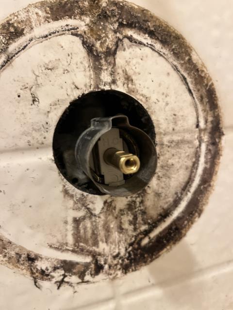 I replaced a broken moen posi temp cartridge in the master bedroom bathtub. I also installed a new trim that had been previously removed. I tested the new cartridge and trim to ensure they were working properly.