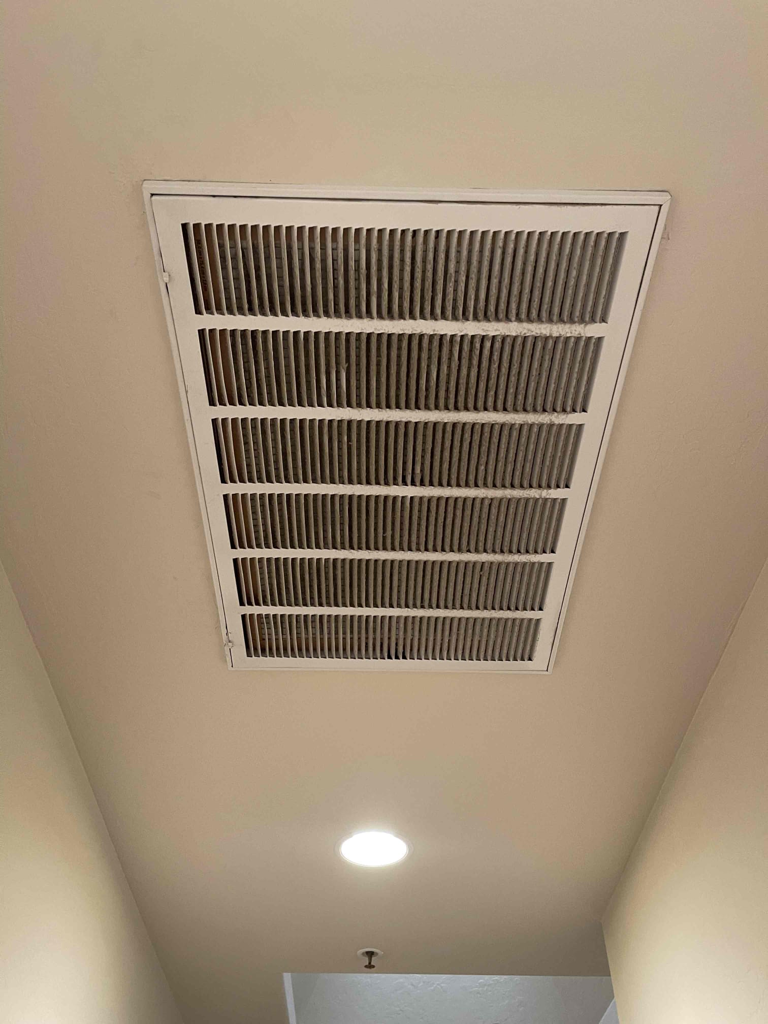 I am a highly skilled home service professional who specializes in Alaskafication heat. I have been working in the industry for over 10 years and have completed numerous projects for satisfied customers.

My Alaskafication heat services include installing and repairing heating systems, including furnaces, boilers, and heat pumps. I also offer maintenance services to ensure that your heating system is running efficiently and safely.

One of the most important aspects of my work is ensuring that my customers are satisfied with the results. I take the time to listen to their concerns and provide them with a detailed estimate of the cost of the project. I then work diligently to complete the project on time and within budget.

In addition to my technical skills, I also have a strong work ethic and a commitment to customer service. I am always willing to go the extra mile to ensure that my customers are happy with their heating system.

If you are in need of Alaskafication heat services, pl