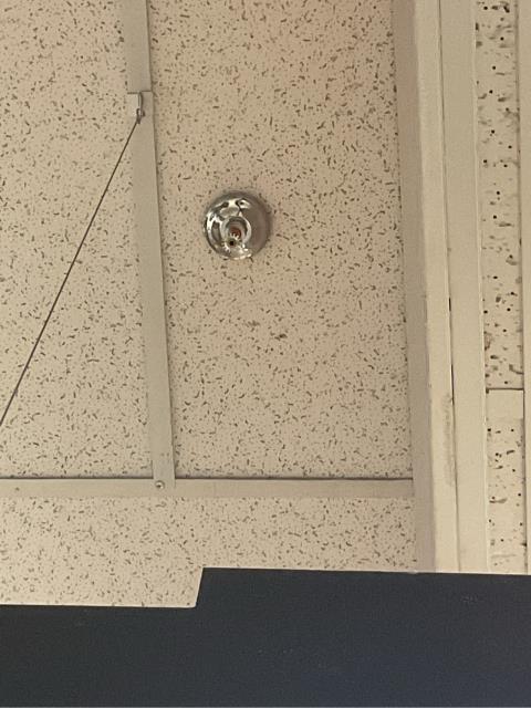 We just replaced several corroded fire sprinkler heads and escutcheons that were in violation of NFPA code at a local retail location. The new components were installed to meet current fire safety standards, keeping the property fully compliant and ensuring the system is ready in case of an emergency.