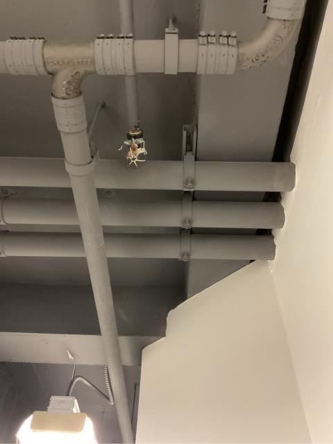 We just completed 5-year gauge replacements and sprinkler head removals at an educational facility. The sprinkler heads, which were over 20 years old, were pulled and replaced so they can be sent out for required testing in compliance with NFPA 25 standards.