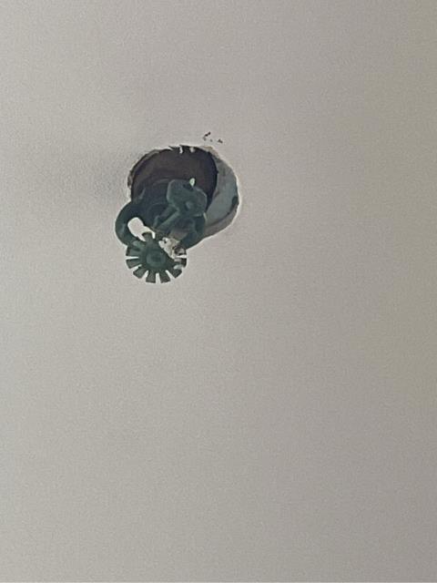 We just completed the replacement of several corroded sprinkler heads with new chrome pendant sprinkler heads. This replacement helps restore proper system performance and long-term durability.