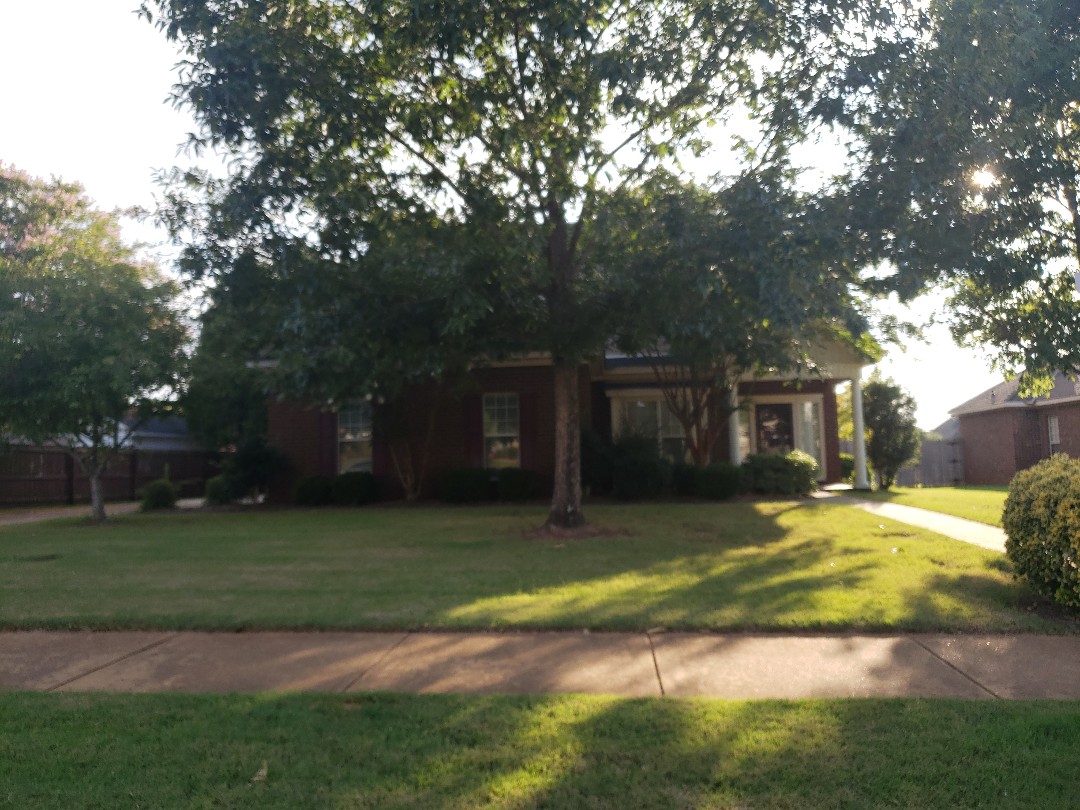 Camelot Properties Online Looking for homes in Prattville, Montgomery