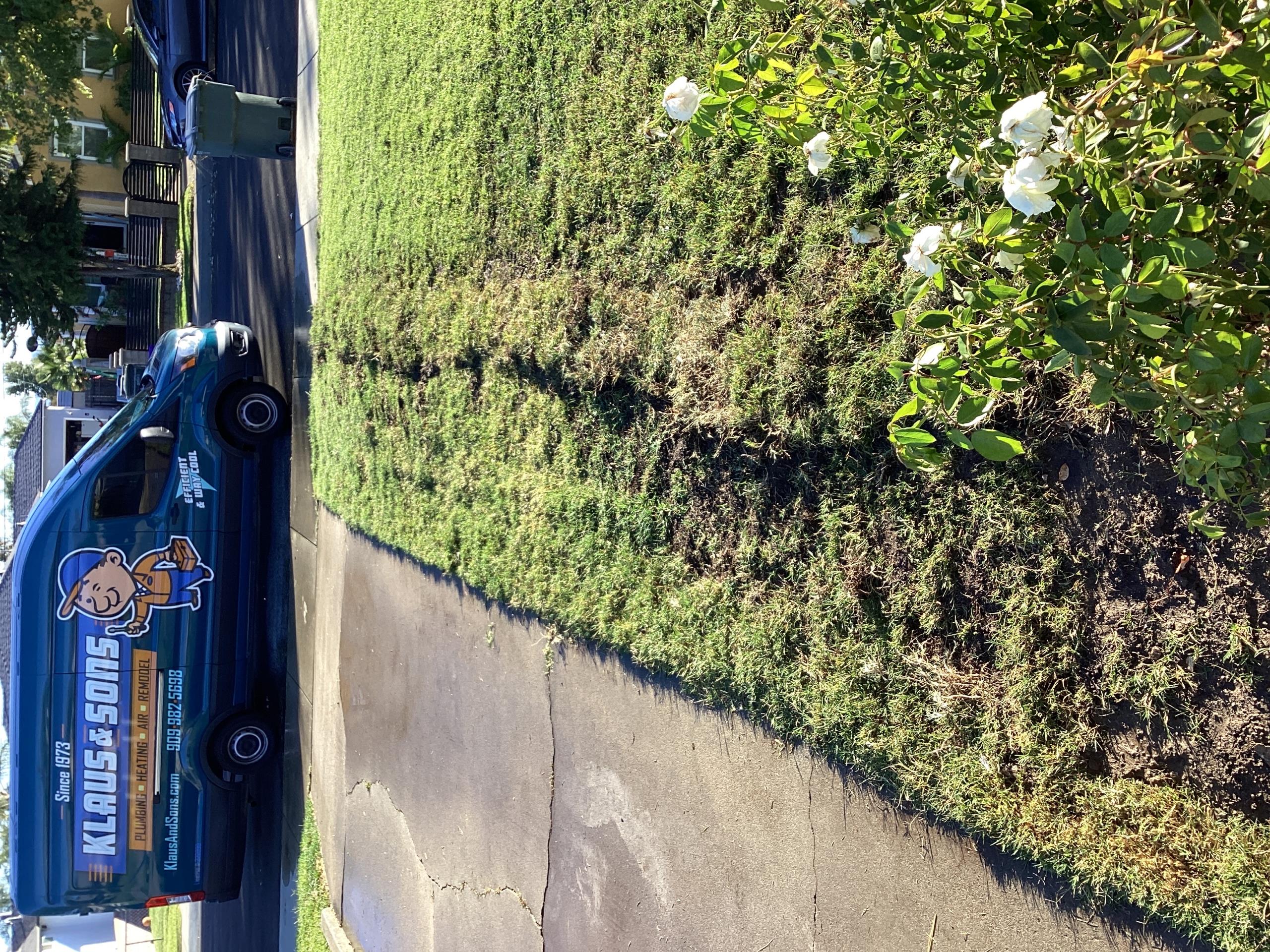 Email invoice : terispar@gmail.com