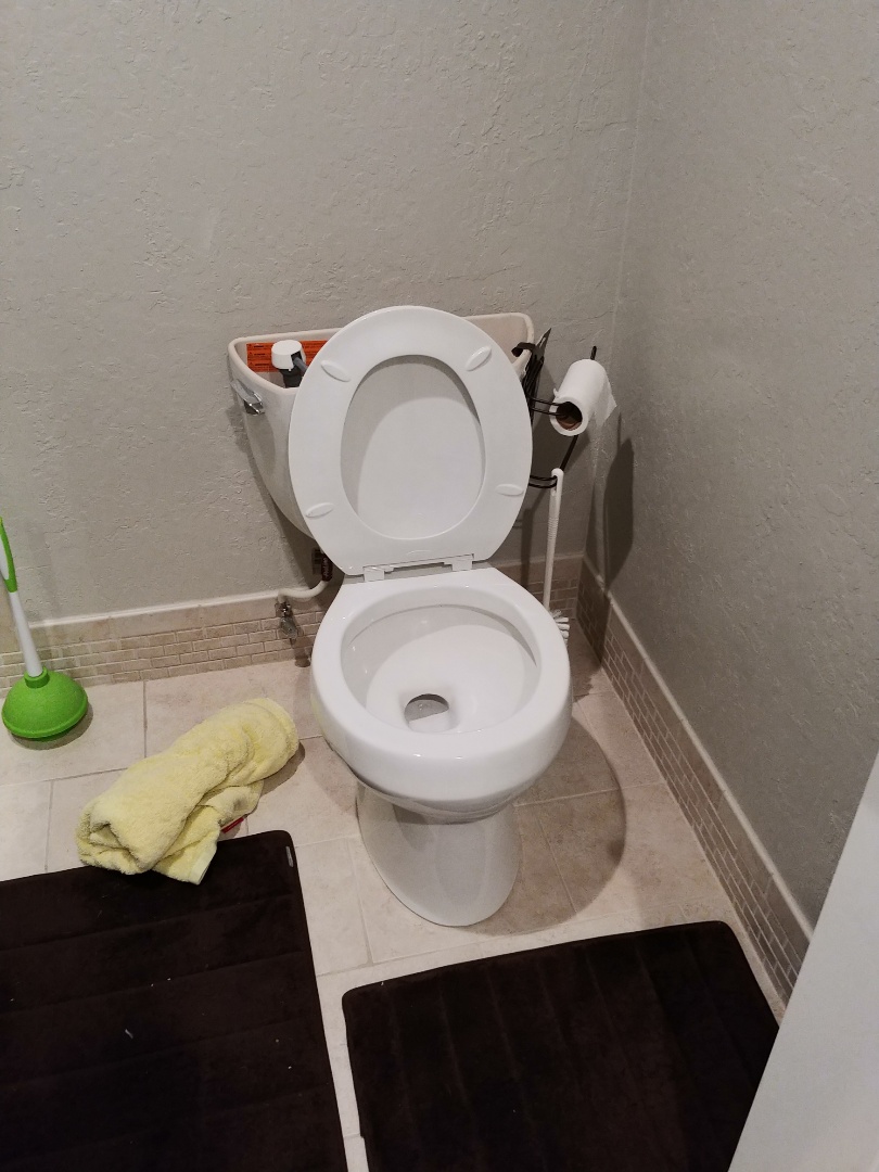 Danville, CA - Diagnosed a clogged toilet Danville, CA - Diagnosed a clogged toilet