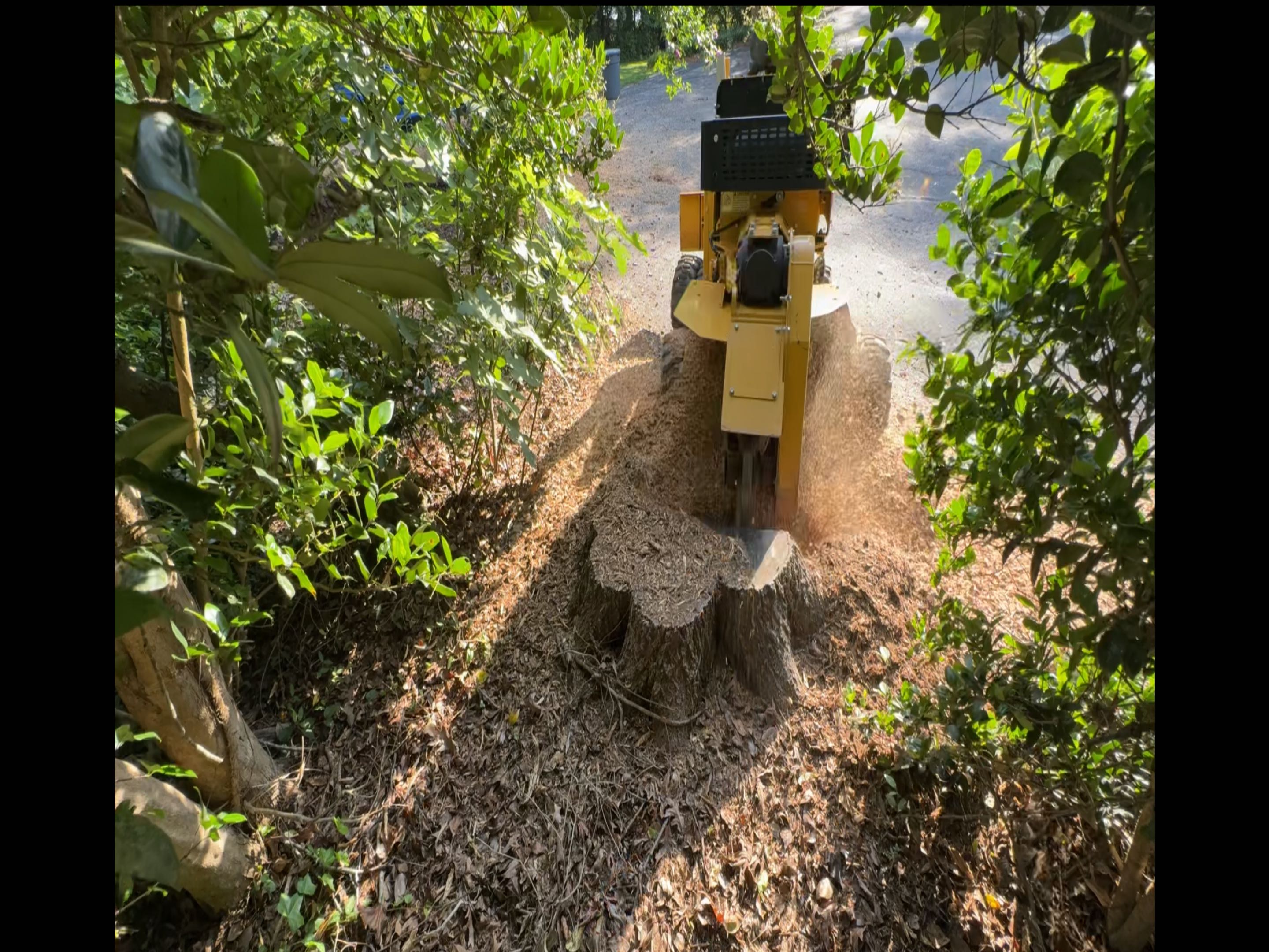 Stump Grinder - Boone's Stump Grinding - Greenwood, SC