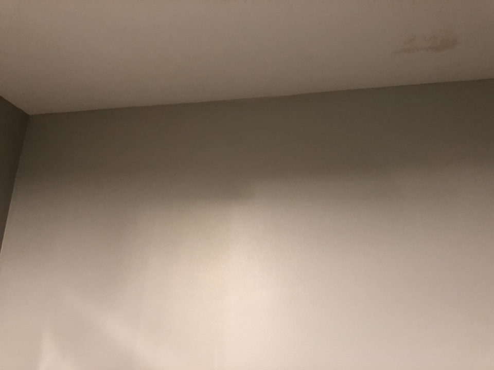 Hudsonville, MI - More water damaged found from water spicket in lower level basement. Seal prime and paint the ceiling. Drywall was holding no moisture just a water stain from being wet. Repairs are scheduled Hudsonville, MI - More water damaged found from water spicket in lower level basement. Seal prime and paint the ceiling. Drywall was holding no moisture just a water stain from being wet. Repairs are scheduled