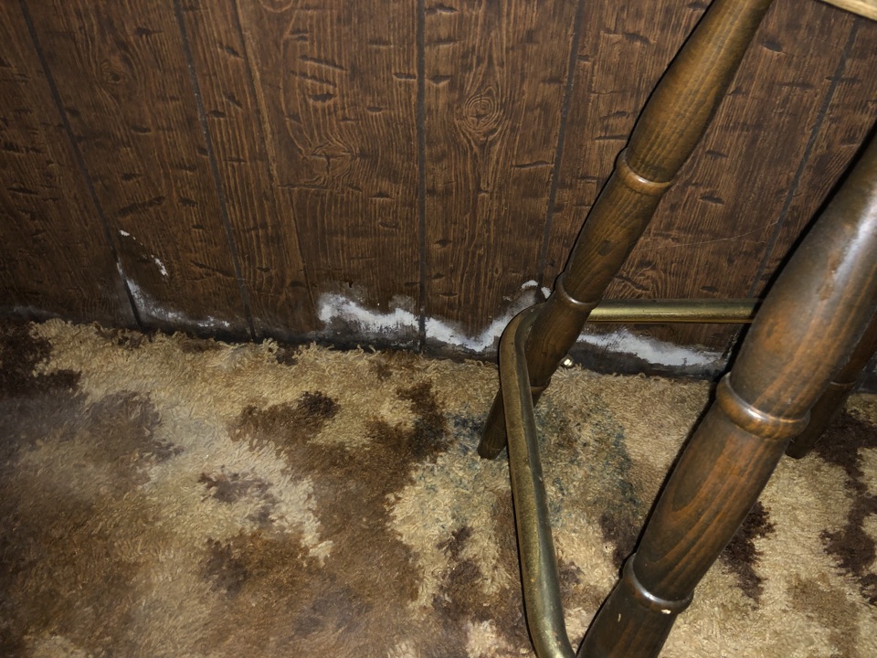 Georgetown Township, MI - Water line to the refrigerator broke in the wall in the basement causing carpet to get. Water removal and extraction to the basement carpet and pad. Also water damage to the paneling. Drying equipment set up. Then water restoration replacement of paneling can be scheduled. Customer says our response time was awesome. Georgetown Township, MI - Water line to the refrigerator broke in the wall in the basement causing carpet to get. Water removal and extraction to the basement carpet and pad. Also water damage to the paneling. Drying equipment set up. Then water restoration replacement of paneling can be scheduled. Customer says our response time was awesome.
