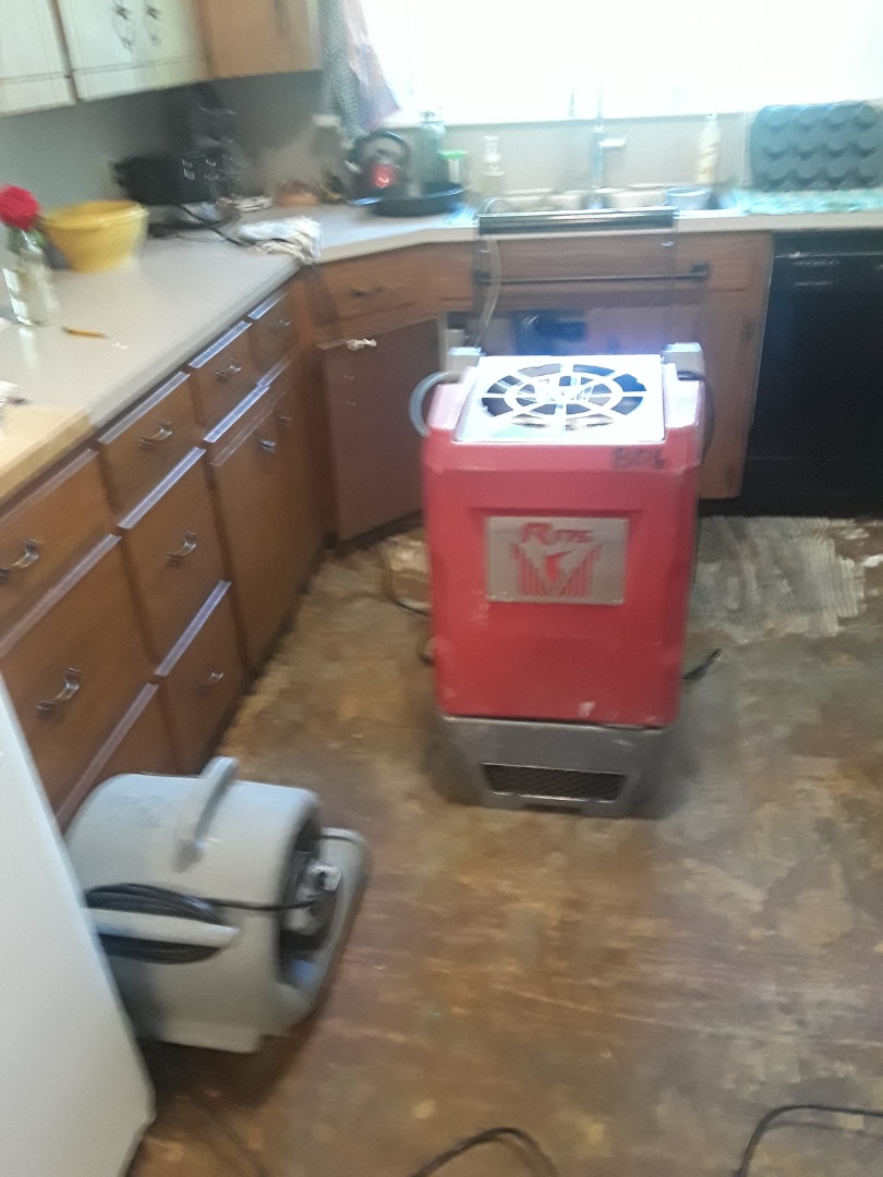 Holland, MI - The floor has been removed and equipment has been set to dry out the cabinets and subflooring. Out of the picture is another fan pointing at the affected area. There are also 2 more fans and another dehumidifier in the basement Holland, MI - The floor has been removed and equipment has been set to dry out the cabinets and subflooring. Out of the picture is another fan pointing at the affected area. There are also 2 more fans and another dehumidifier in the basement