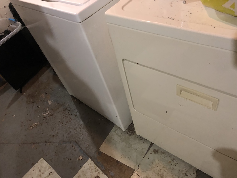 Wyoming, MI - Photos from sewage overflow. And clean up is Schedule for Monday. Approval from insurance company. Wyoming, MI - Photos from sewage overflow. And clean up is Schedule for Monday. Approval from insurance company.