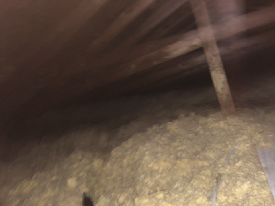 Kentwood, MI - Animal got into the attic. Customer wants us to remove the old insulation and clean up. Treat the joist and replace the insulation with r38. Kentwood, MI - Animal got into the attic. Customer wants us to remove the old insulation and clean up. Treat the joist and replace the insulation with r38.