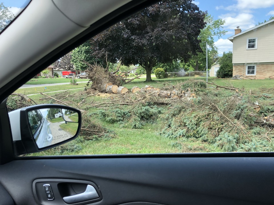 Georgetown Township, MI - Wind damage. From straight line winds. Storm damage clean up of massive pine tree. Georgetown Township, MI - Wind damage. From straight line winds. Storm damage clean up of massive pine tree.