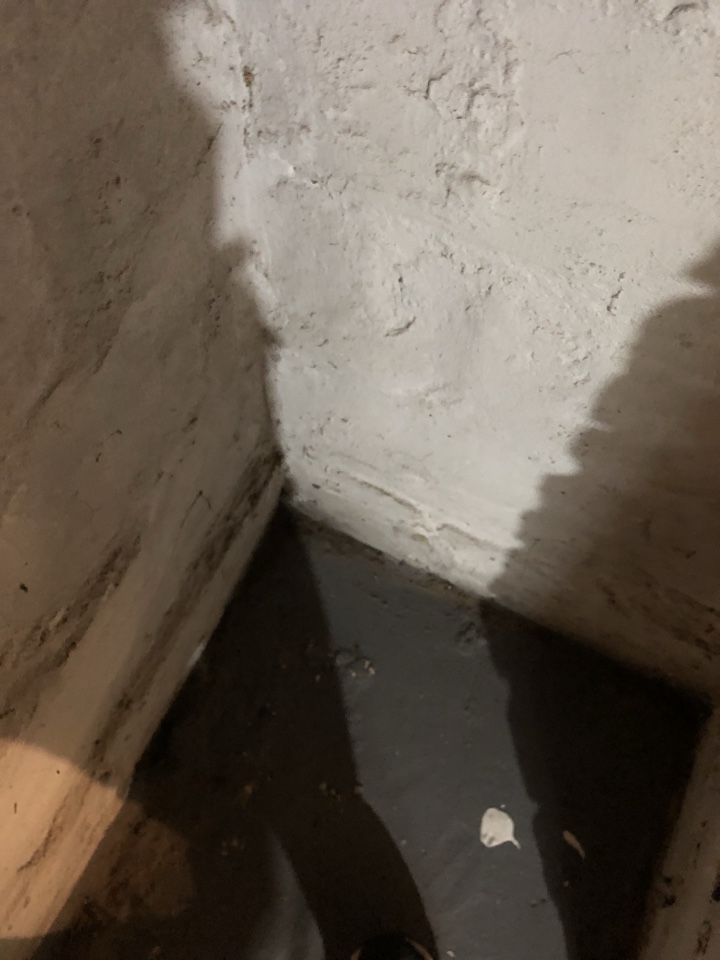 Grand Rapids, MI - Homeowners purchase home that has cat urine smell in the basement from litter box. Action Restoration gave them quote to deodorize treat and seal basement concrete floor Grand Rapids, MI - Homeowners purchase home that has cat urine smell in the basement from litter box. Action Restoration gave them quote to deodorize treat and seal basement concrete floor