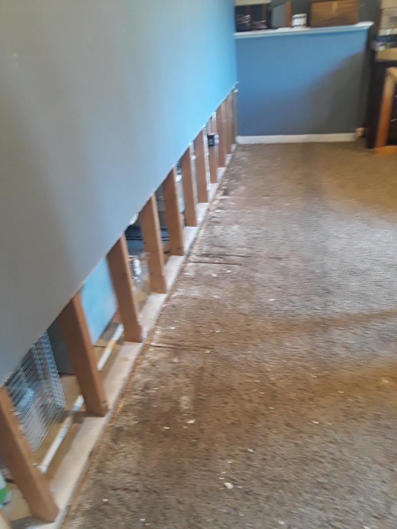 Allendale Charter Township, MI - The air conditioning condensation tube got plugged up causing water damage in the basement bedroom. I already have the drywall sectioned out. I'm about to remove the carpet and pad Allendale Charter Township, MI - The air conditioning condensation tube got plugged up causing water damage in the basement bedroom. I already have the drywall sectioned out. I'm about to remove the carpet and pad