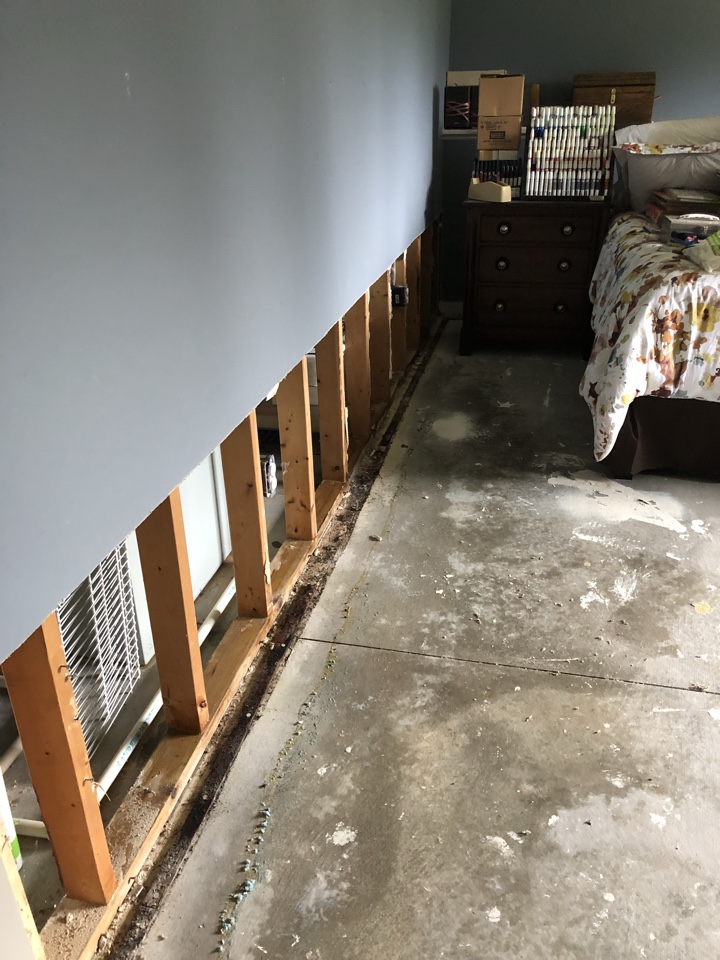 Allendale Charter Township, MI - Water damage to bedroom. Day 3 picked up equipment and treated the floor. Next phase is to start restoration Allendale Charter Township, MI - Water damage to bedroom. Day 3 picked up equipment and treated the floor. Next phase is to start restoration