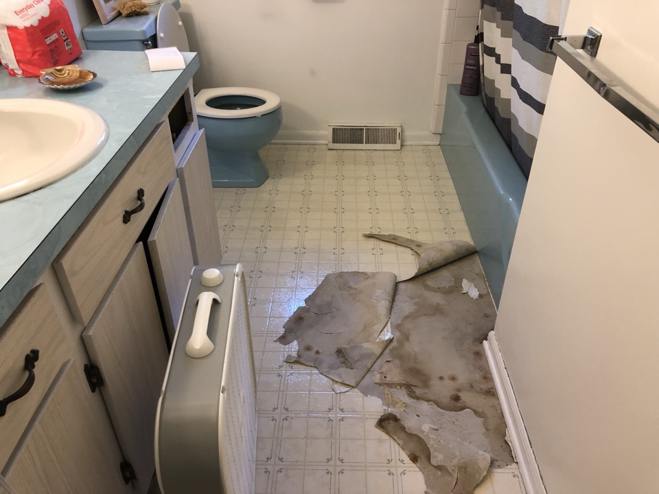 Georgetown Township, MI - Shower drain overflow. Water damage to the main floor bathroom. Remove of vinyl floor and baseboards. Set up drying equipment Georgetown Township, MI - Shower drain overflow. Water damage to the main floor bathroom. Remove of vinyl floor and baseboards. Set up drying equipment