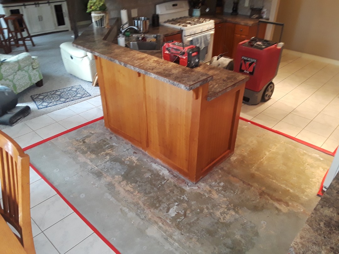 Hudsonville, MI - The dishwasher decided to spring a leak so I removed a vinyl plank floor that was over a ceramic tile floor. After that I sectioned out about 60 sq/ft of tile and cement board. I then drilled holes in the toe kicks, taped of the tile edges (to alert of a trip hazzard) and set up a dehumidifier and 2 air moves. Hudsonville, MI - The dishwasher decided to spring a leak so I removed a vinyl plank floor that was over a ceramic tile floor. After that I sectioned out about 60 sq/ft of tile and cement board. I then drilled holes in the toe kicks, taped of the tile edges (to alert of a trip hazzard) and set up a dehumidifier and 2 air moves.
