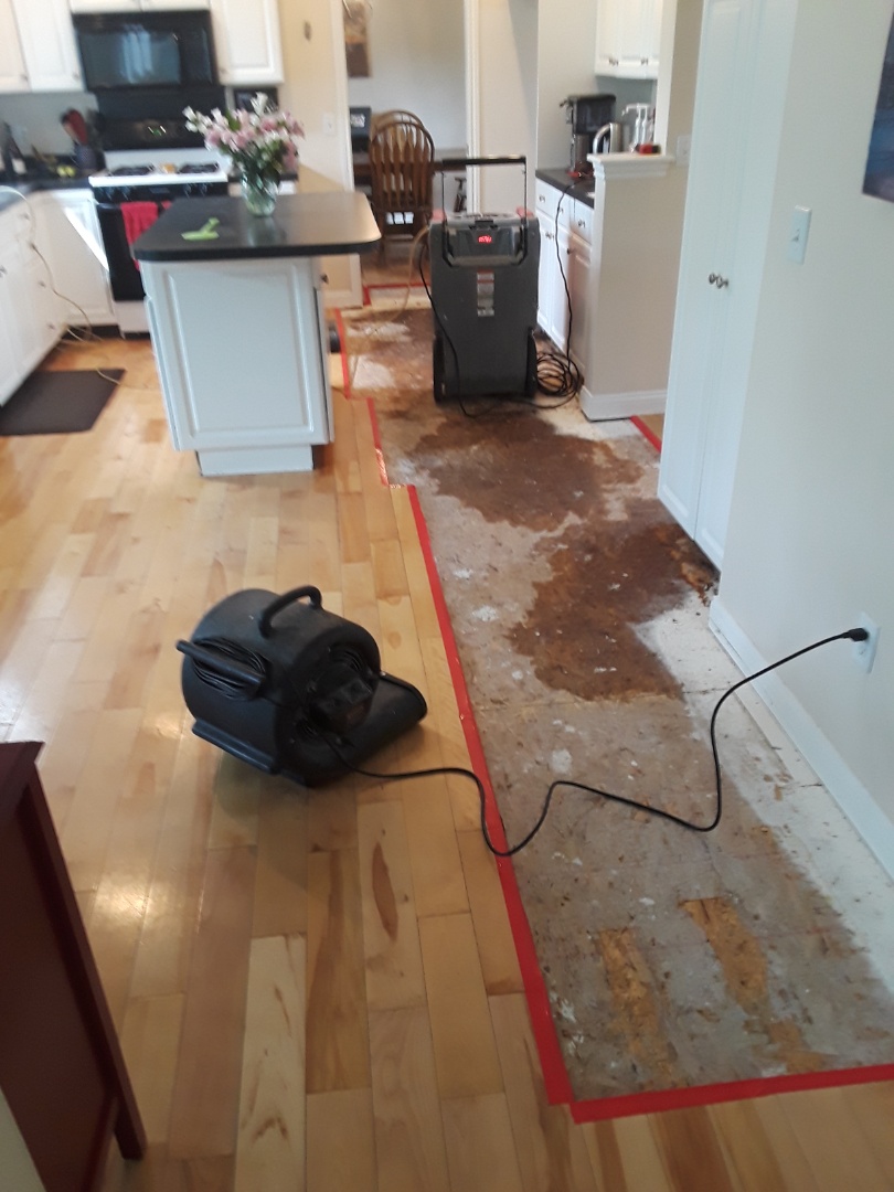 Ada, MI - After the hardwood floor has been removed, the edges taped, antimicrobial agent applied and the equipment set. Ada, MI - After the hardwood floor has been removed, the edges taped, antimicrobial agent applied and the equipment set.