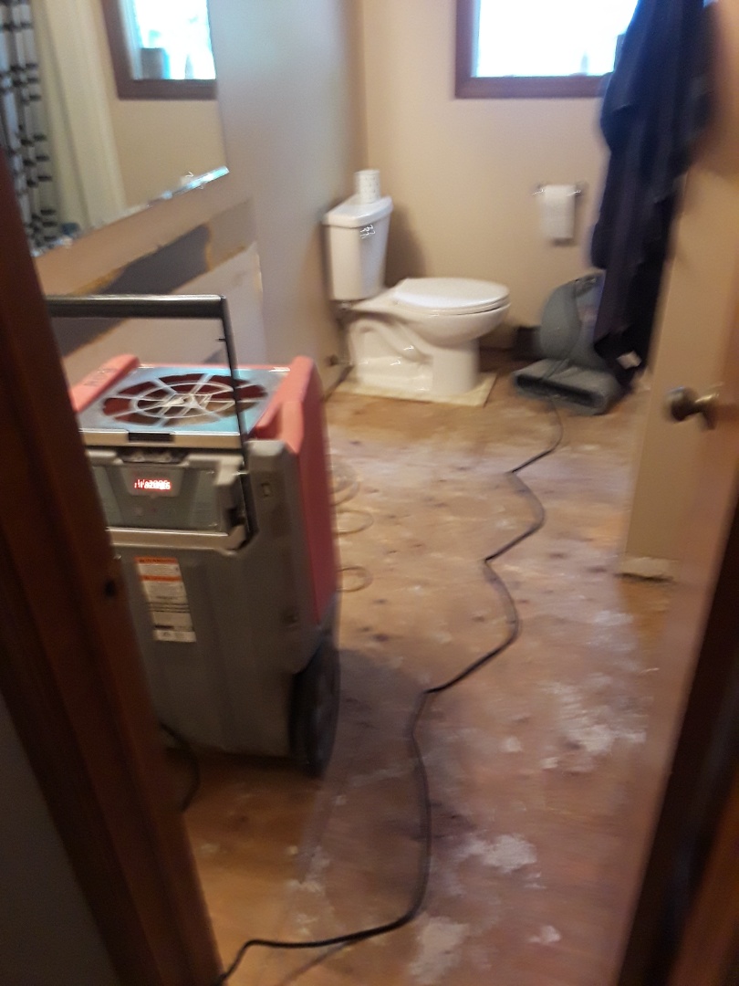 Wyoming, MI - During the course of removing the floor I discovered there was 1/2" plywood over the subflooring. There was water trapped between the two layers and the built-in vanity was over the plywood. As a result it all had to be removed. Wyoming, MI - During the course of removing the floor I discovered there was 1/2" plywood over the subflooring. There was water trapped between the two layers and the built-in vanity was over the plywood. As a result it all had to be removed.